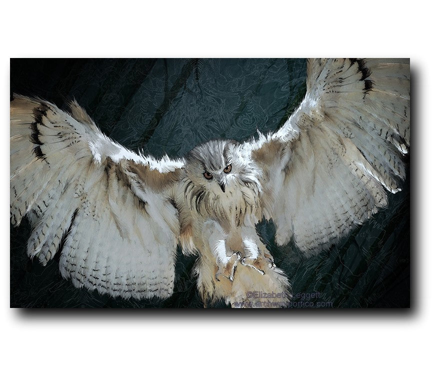 Owl - Portico Arts - Art Print by Elizabeth Legget